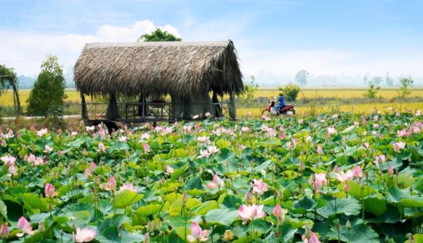 Dịch vụ từ trái tim