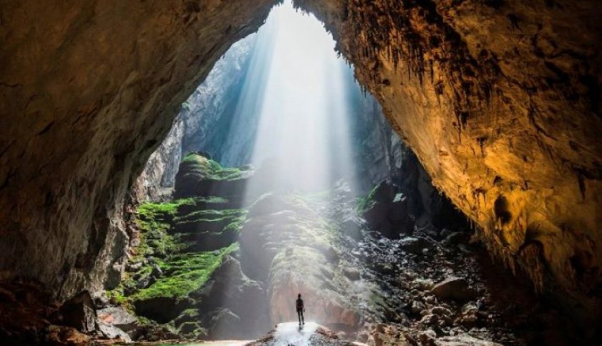 Dịch vụ từ trái tim