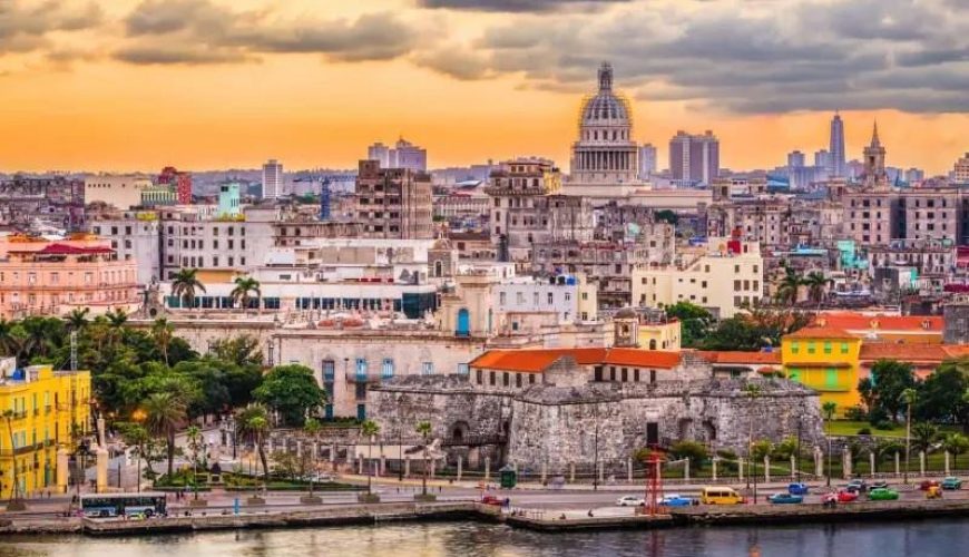 Dịch vụ từ trái tim