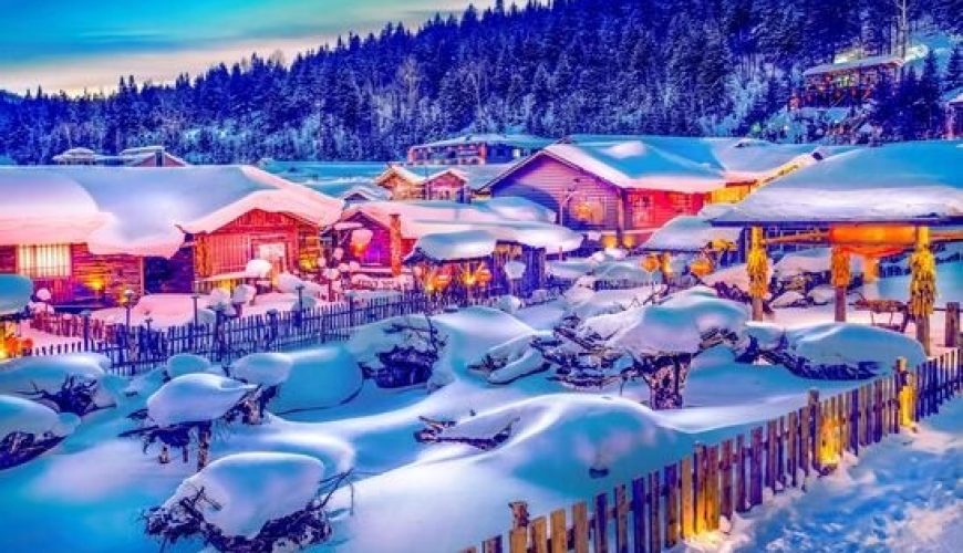 Dịch vụ từ trái tim