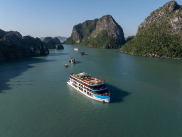 Dịch vụ từ trái tim